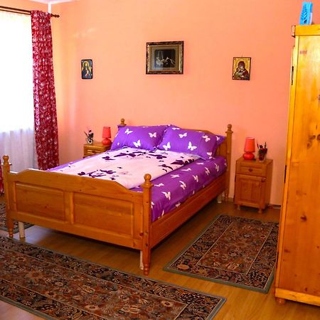 Apartament Iulia Geoagiu Bai Exterior photo