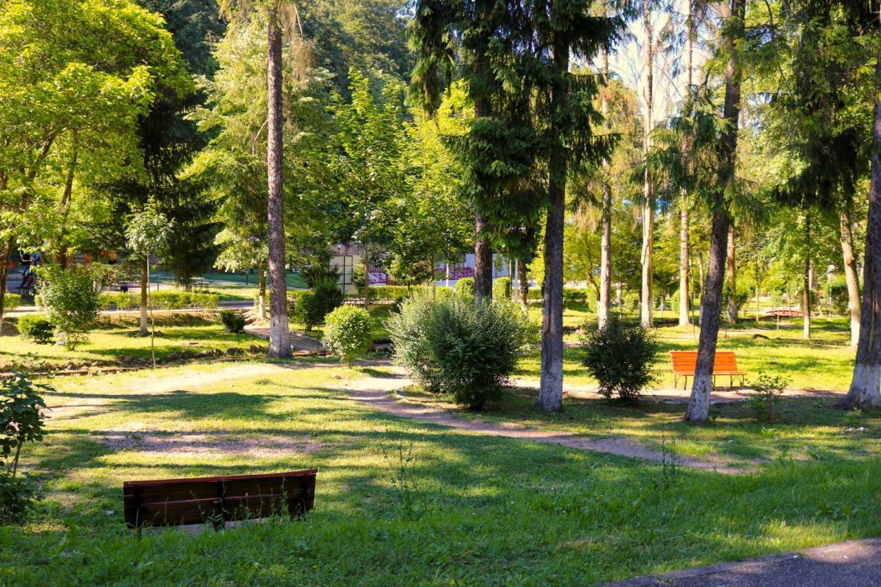 Apartament Iulia Geoagiu Bai Exterior photo