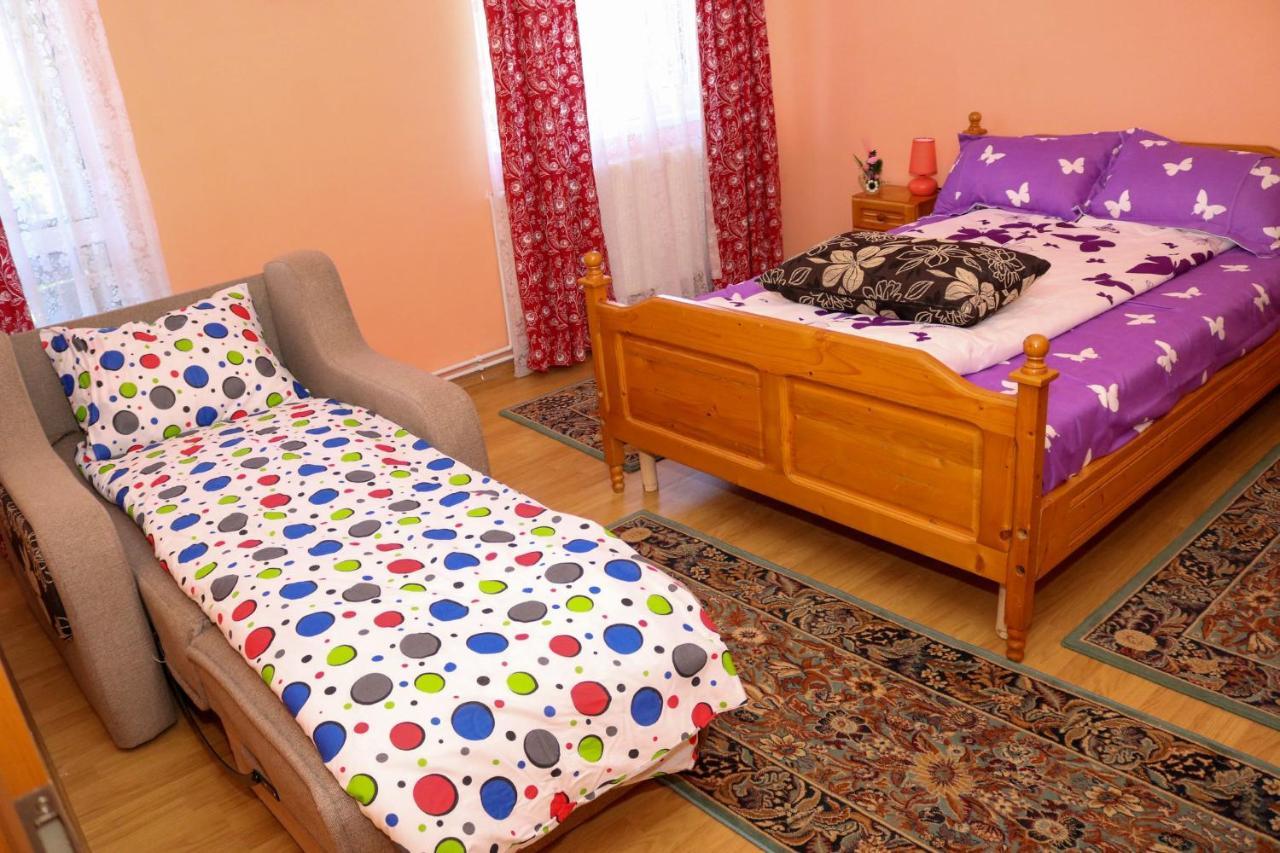 Apartament Iulia Geoagiu Bai Exterior photo