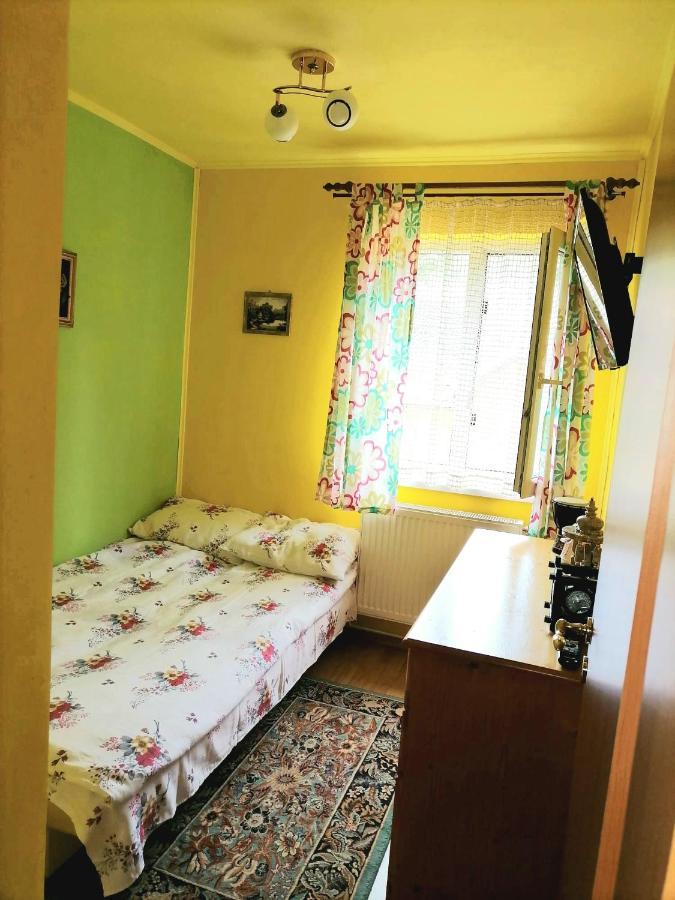 Apartament Iulia Geoagiu Bai Exterior photo